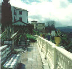 Bosco House Patio