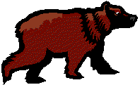 bear